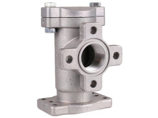 Piusi Line fuel filter, art: F08950000.